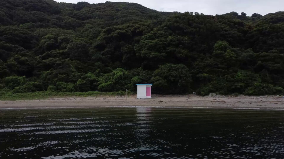 DROLIENTBS水曜日のダウンタウン