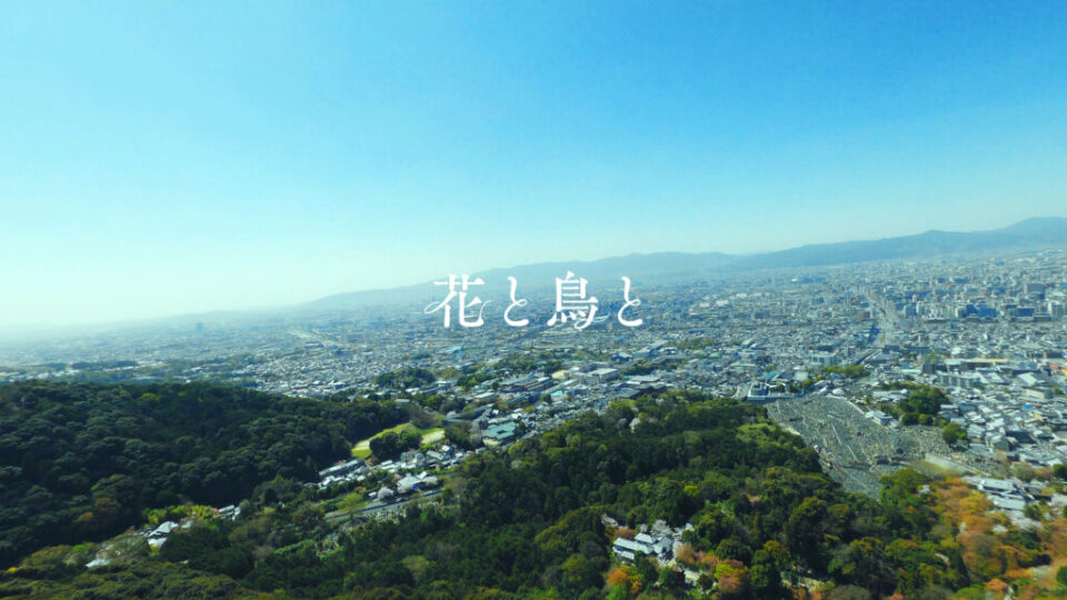 DROLIEN京都着物千總マイクロドローン