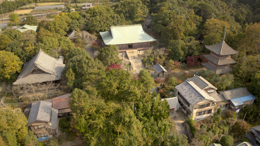 DROLIEN神戸太山寺8K空撮