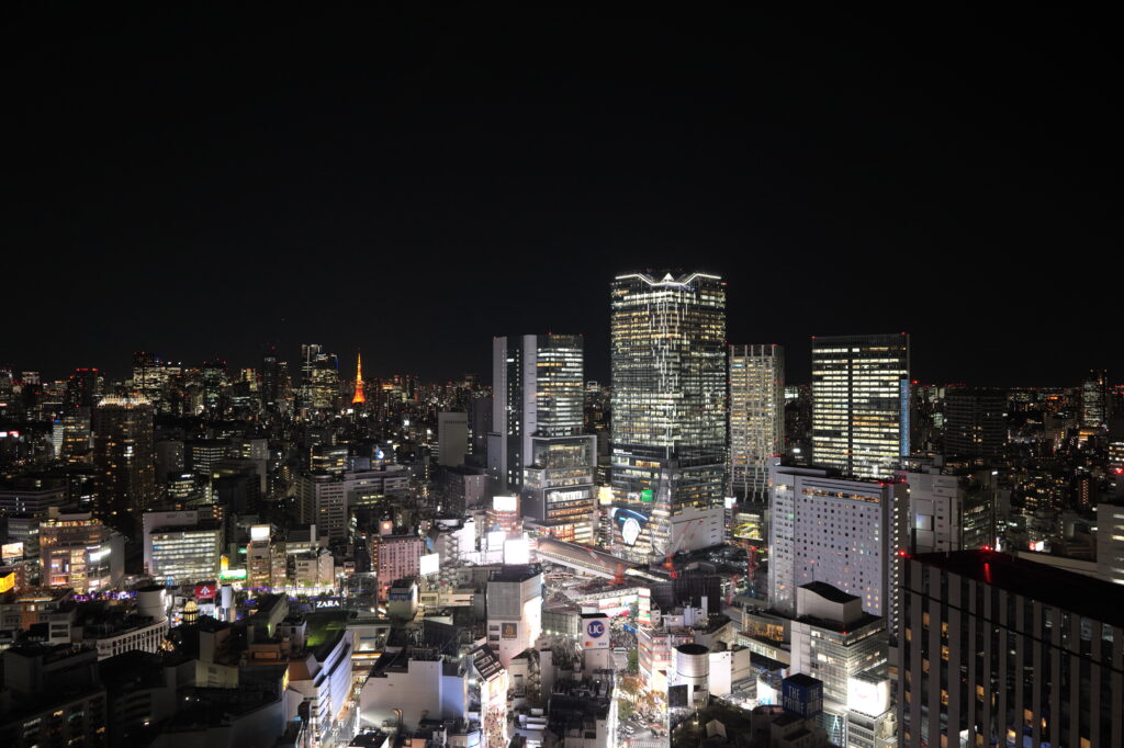 DROLIEN渋谷東急本店眺望空撮